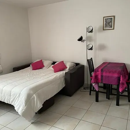 Fushia Apartament Cannes